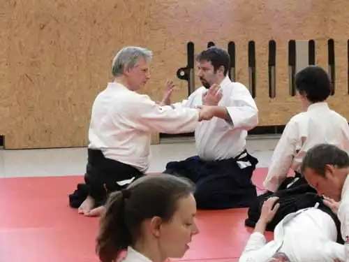 Aikido seminar in Berlin 2012.